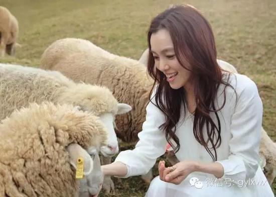 明星旅行糗事一籮筐 總有一個(gè)萌到你！