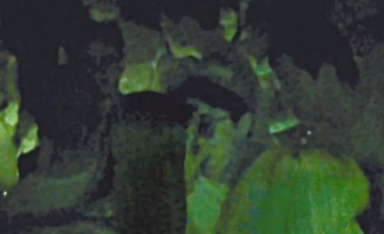 房祖名去年被港媒直擊在中環(huán)夜店與長發(fā)妞互動曖昧，女生正是Nana