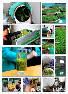 制茶的工藝真地道，仿佛聞到了茶香