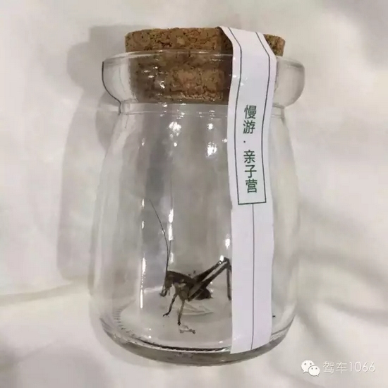 看看我的成果吧！