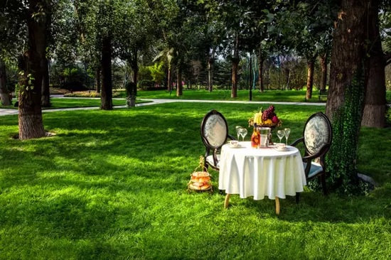 秋陽鴻園，芳草青青