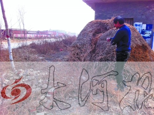 張哥、張弟就是在這兒撿到的投毒面包。