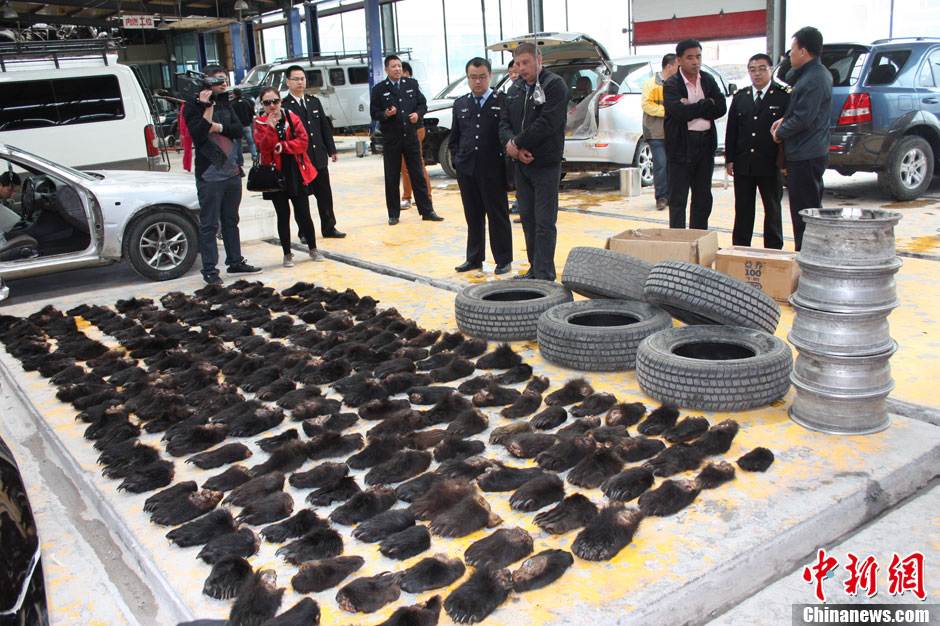 滿(mǎn)洲里海關(guān)破獲全國(guó)最大熊掌走私案