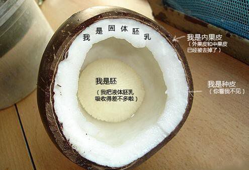 你在甜品店常吃的東西，到底都是啥？