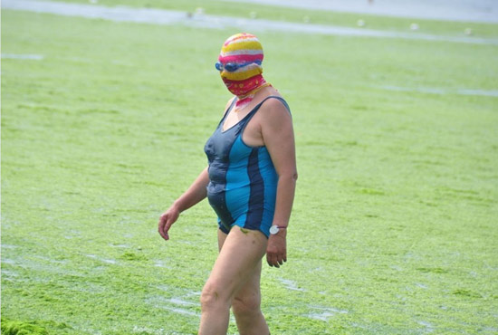 2013年7月3日，山東青島青島高溫來(lái)襲，“青島大媽”不懼滸苔，戴著“強(qiáng)盜面具”出現(xiàn)在海水浴場(chǎng)消暑降