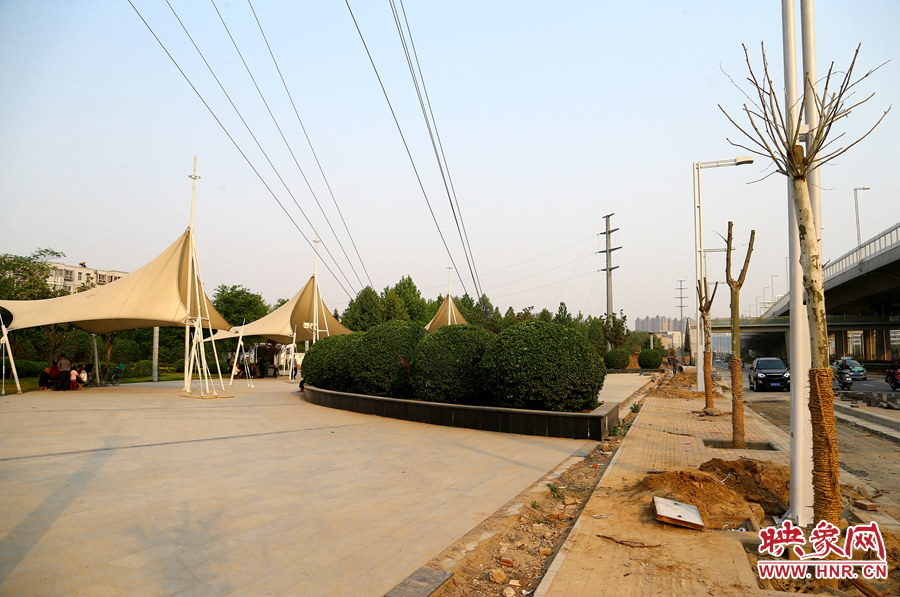 三環(huán)快速路旁邊的綠化帶也現(xiàn)出芳容