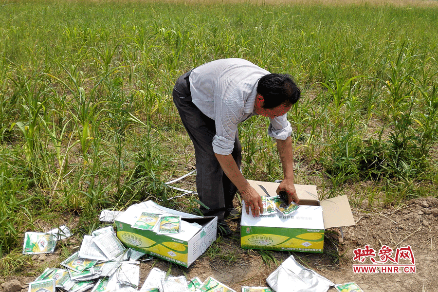 村民察看摧毀玉米的農(nóng)藥。