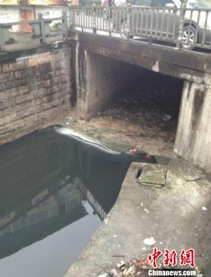 浙江又一環(huán)保局長(zhǎng)被邀下河游泳 價(jià)碼升至30萬(wàn)元