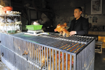 南京另一家農(nóng)貿(mào)市場內(nèi)待售的活雞。因南京出現(xiàn)H7N9禽流病例，買活雞的顧客減少。