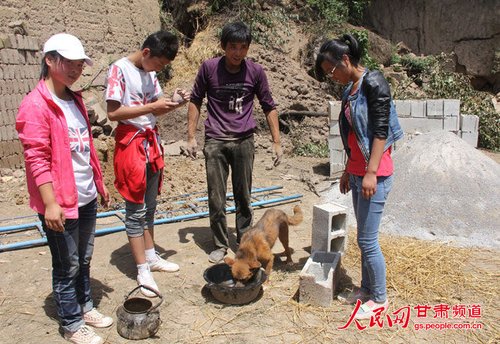 渴壞了的小黃狗在喝水。王生元/攝