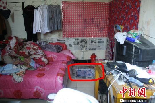 圖上紅圈內(nèi)為嫌犯所挖地窖入口。 吳佳蔚 攝