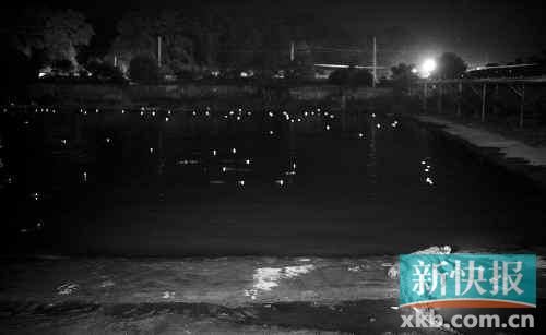 昨日，西湖村鱷魚養(yǎng)殖場已修復圍欄。