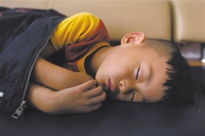 9月6日，等待錄制節(jié)目的多多躺在沙發(fā)上熟睡。新京報(bào)記者 侯少卿 攝