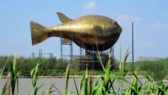 昨天，揚(yáng)中市西沙島，正在施工的河豚塔金光閃閃