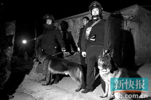 緝毒犬協(xié)助警方搜查毒品。