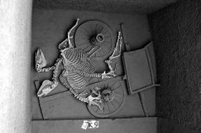 涇陽(yáng)發(fā)現(xiàn)376座古墓還有6座車馬坑