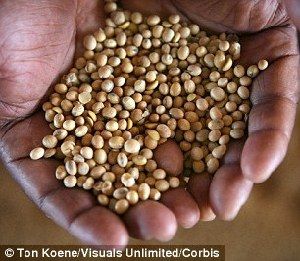 超強厄爾尼諾將引發(fā)全球極端天氣，中國北方或極端高溫-