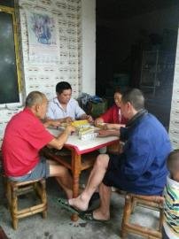 掃水掃不及，胥家鎮(zhèn)柏河村的居民干脆打起了麻將。