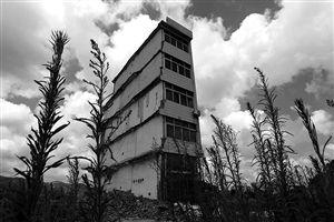 這幢5層的“片片樓”周圍已是一片拆遷后的廢墟，左邊的一堵墻上，不少鋼筋裸露在外面 圖片來源：新華網(wǎng)