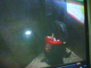 侯某被摁倒割喉。