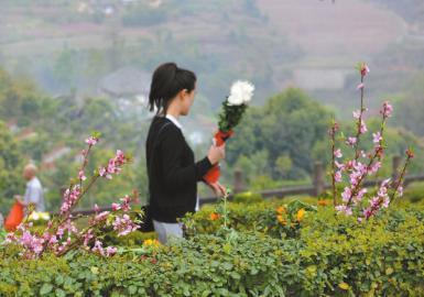 四川男子搬家弄丟安葬證 5年未給爺爺上墳