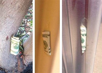 “隱藏的鈔票”會被神秘人藏在公園、廁所等“奇怪的地方”。