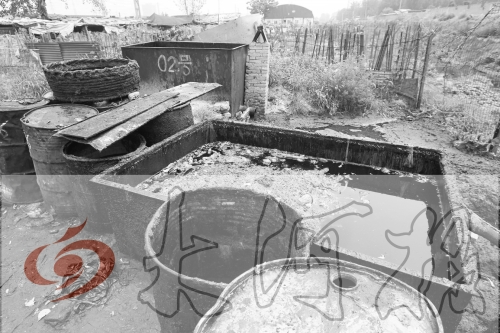 　　骯臟、令人作嘔的油桶凌亂地擺放在院子里，為了避免視覺刺激，我們把它做成了黑白圖片。