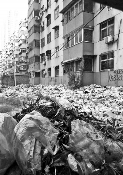 透過擋板縫向內(nèi)看，30多米垃圾已經(jīng)將居民樓包圍。