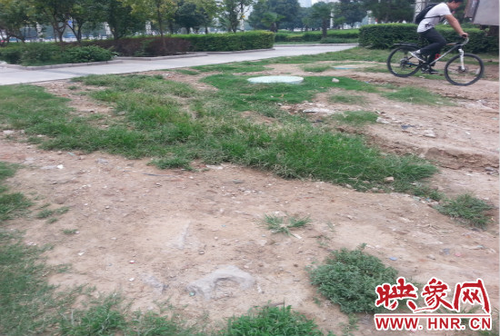 公園內大片草坪遭到破壞。