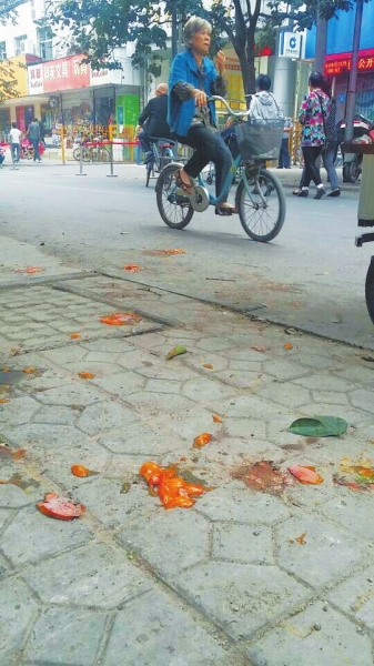 爛了一地的柿子影響市容，還常常滑倒人。