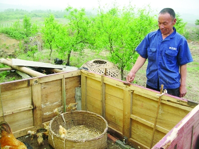 弟弟趙文富向記者介紹他們養(yǎng)雞的地方。
