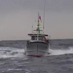 中國(guó)海監(jiān)驅(qū)逐日艦艇