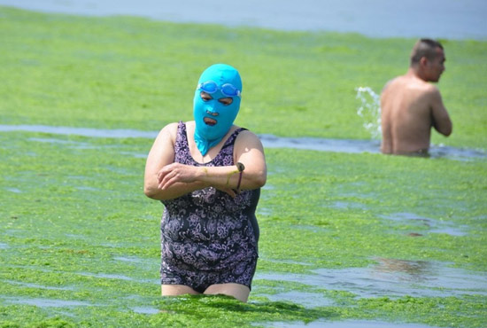2013年7月3日，山東青島青島高溫來(lái)襲，“青島大媽”不懼滸苔，戴著“強(qiáng)盜面具”出現(xiàn)在海水浴場(chǎng)消暑降