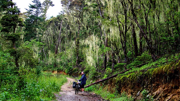 度個(gè)最特別的冬天 盤點(diǎn)12月最佳出游地