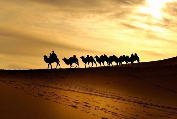 中國各種最美目的地最佳旅游時間盤點