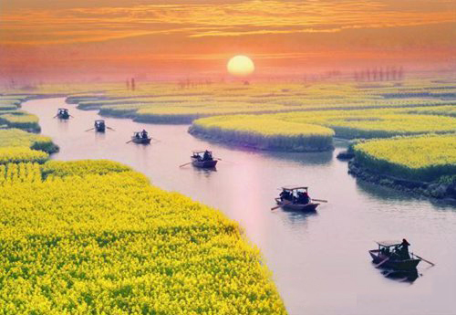 如何拍攝油菜花？達(dá)人教你7個拍攝技巧