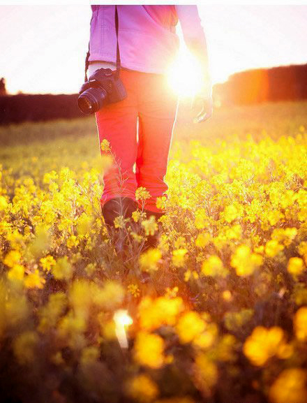 如何拍攝油菜花？達(dá)人教你7個拍攝技巧