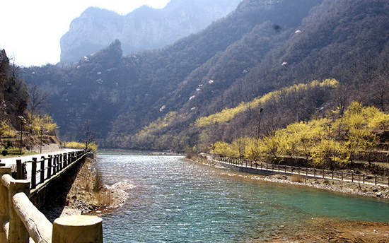 有一種呼喚，叫春天里的蟒河！