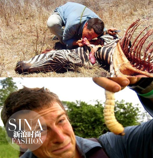 大型動(dòng)物和肉蟲子……也都能生吞活剝！