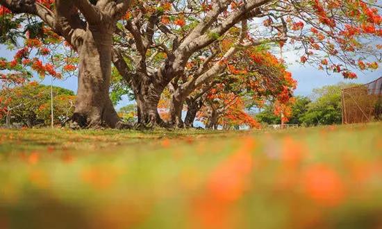 適合在冬天旅游的十個絕美海島！
