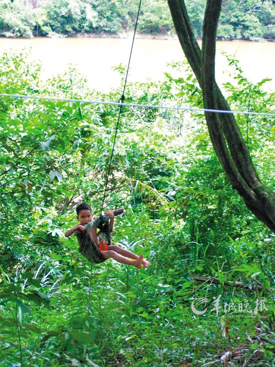 馬來(lái)西亞勇探原始森林 朝拜存活百萬(wàn)年森林