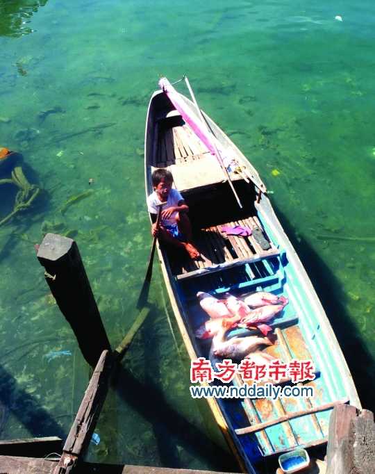 漁船上的孩子。