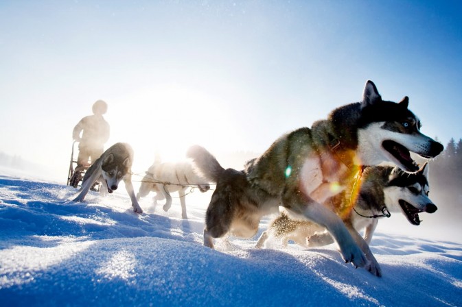 冬季貝加爾,適合享受冰上運動,狗拉雪橇、雪上摩托車、雪地徒步等都是不錯的選擇 F5.6,1/115秒