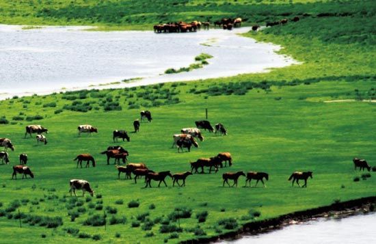 　　處處翠色欲流,馬兒自然入畫?！? complete=