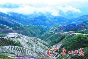 　　龍勝梯田大氣而立體。