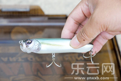 　　又稱擬餌釣魚,起源于歐洲,國內(nèi)翻譯為“路亞”。