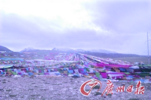 沿途遍地可見(jiàn)的五彩經(jīng)幡。