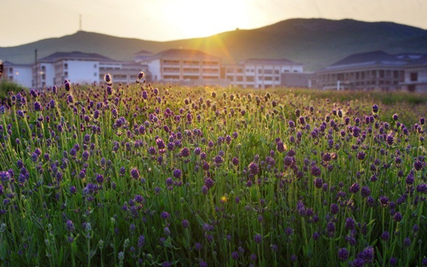 別樣蜜月，河南最適宜新婚度假的景區(qū)