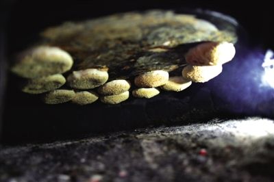 吊爐燒餅是黃驊最典型的面食之一，這種手藝在一些老院子里已經(jīng)傳承了上百年時間。