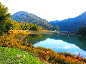 初冬的石門森林公園色彩絢爛。
